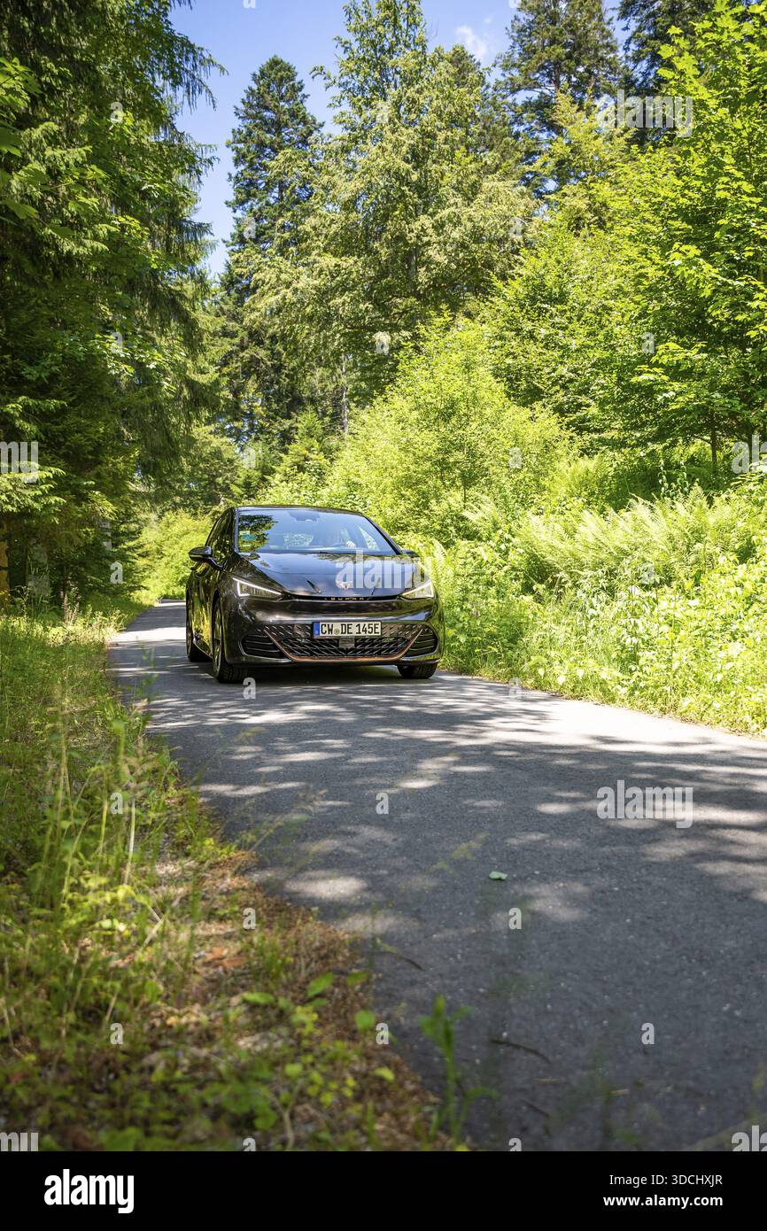 Auto nera che guida su una strada stretta tra alti alberi verdi nella foresta, condivisione di e-car con cervi, auto elettrica Cupra, Germania Foto Stock