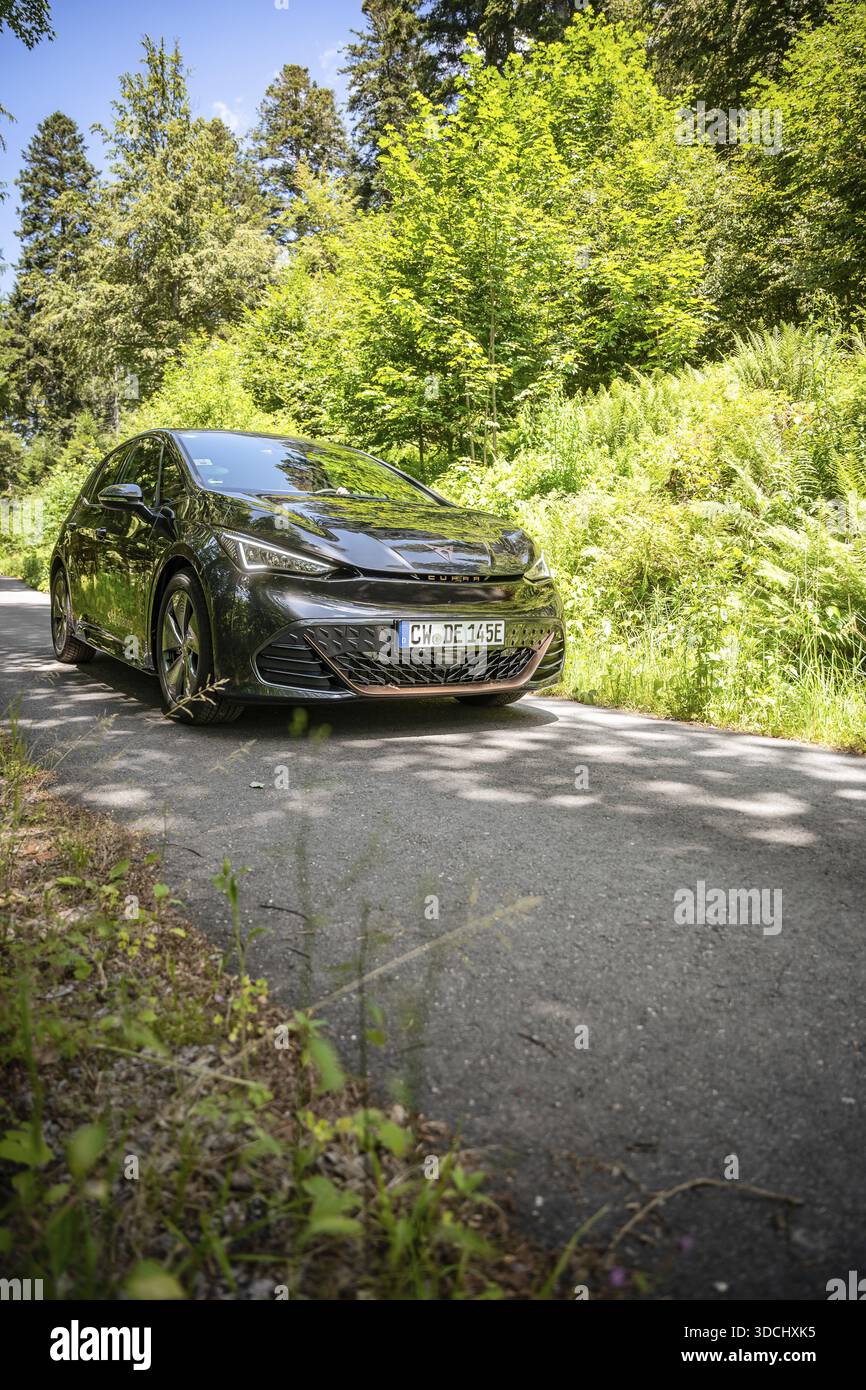 Guida in auto su una stretta strada forestale circondata da vegetazione fitta e luce solare, condivisione di e-car con cervi, auto elettrica Cupra, Germania Foto Stock