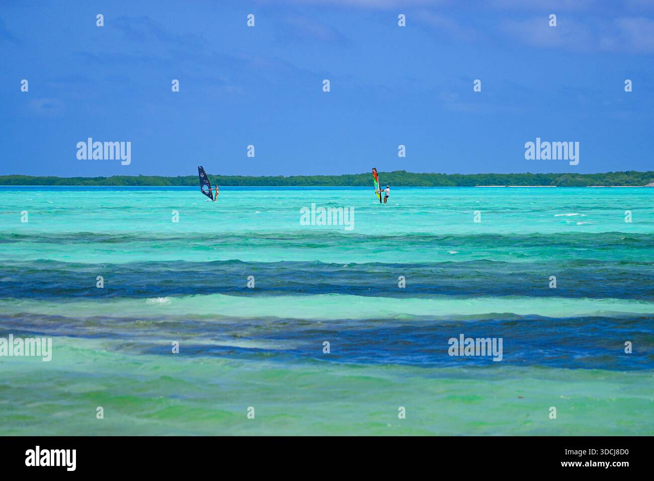 Windsurf nella baia di Lac, una laguna tropicale con acque turchesi poco profonde sulla costa sud-orientale dell'isola di Bonaire nei Caraibi olandesi Foto Stock
