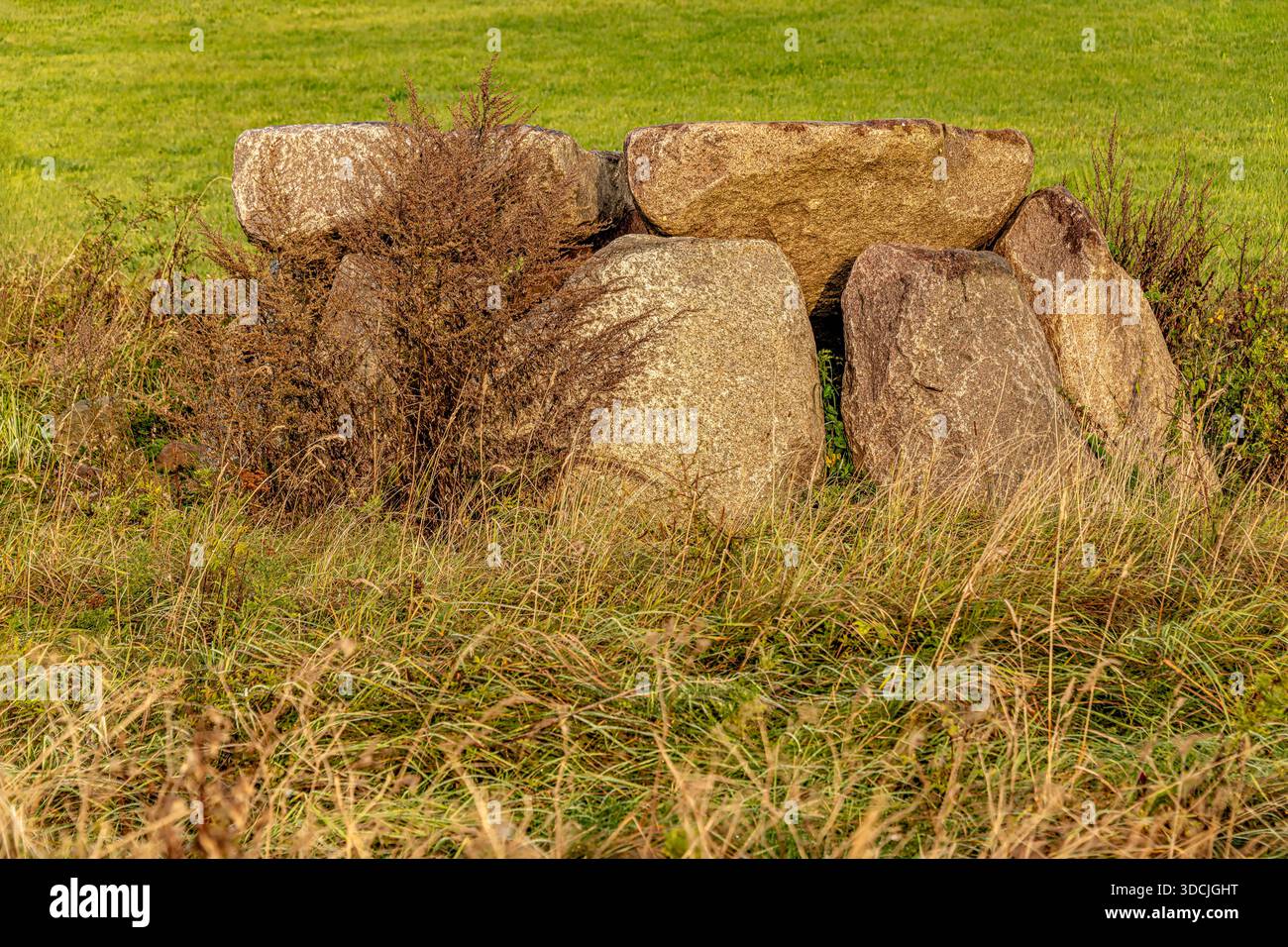 Tomba megalitica di Dameshöved vicino a Dahme, a nord-est di Kellenhusen nel distretto di Ostholstein nello Schleswig-Holstein, Germania Foto Stock