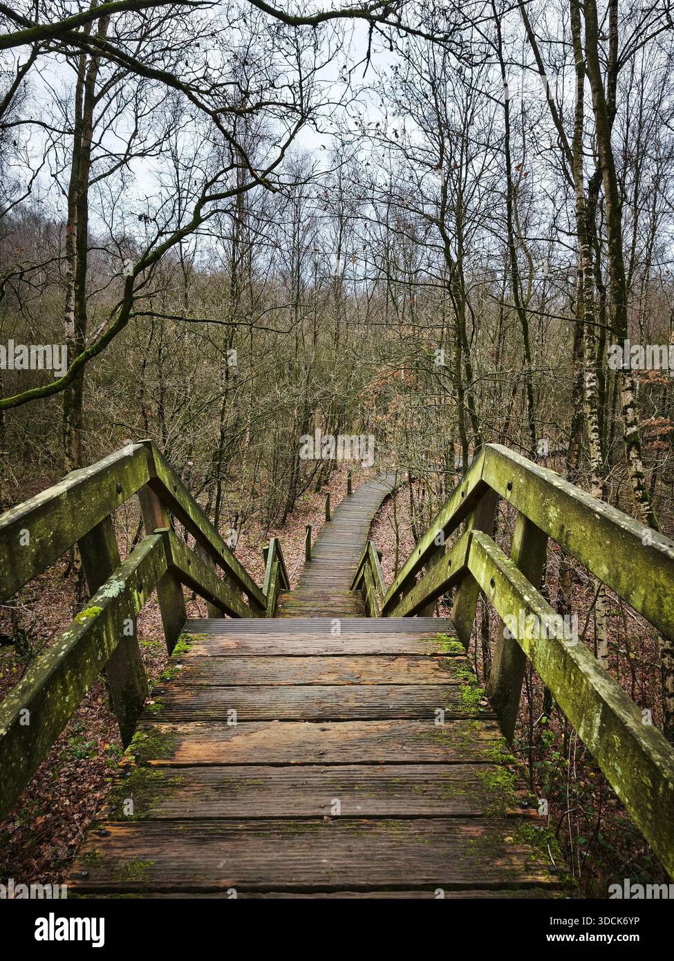Recinzione rustica. La passerella è racchiusa da alti picchetti di legno irregolari che creano un'atmosfera stravagante, quasi da fortezza. Foto Stock