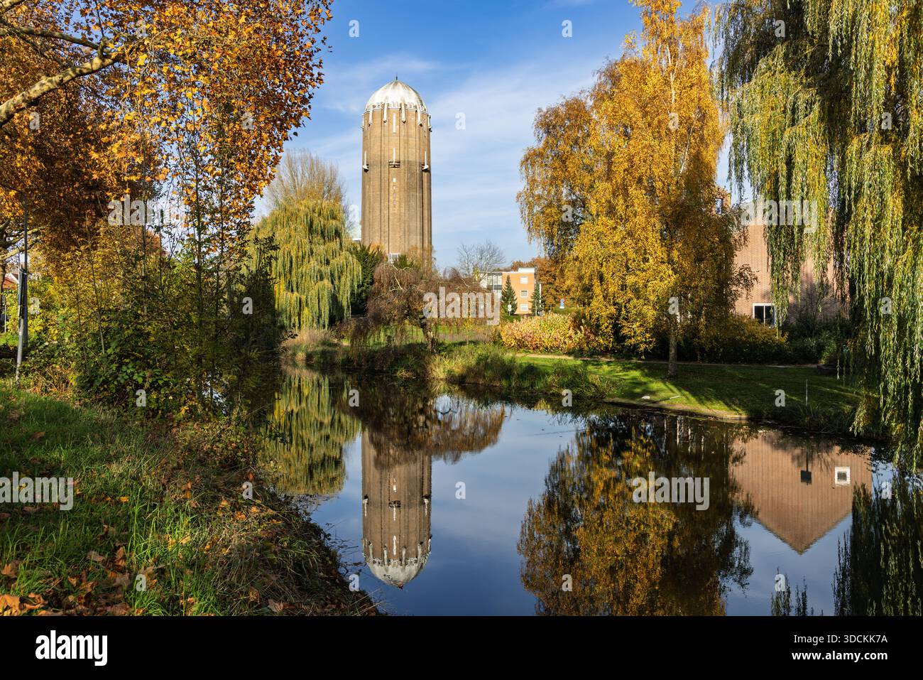 Paesaggio panoramico autunnale con la storica torre d'acqua di Zutphen, Paesi Bassi, che si riflette nelle acque calme incorniciate da vivaci salici gialli Foto Stock