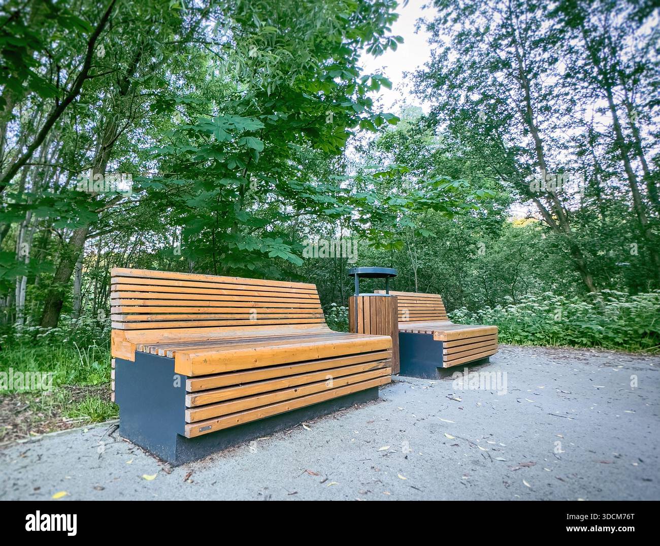 due panchine in legno e cestino nel parco forestale Foto Stock