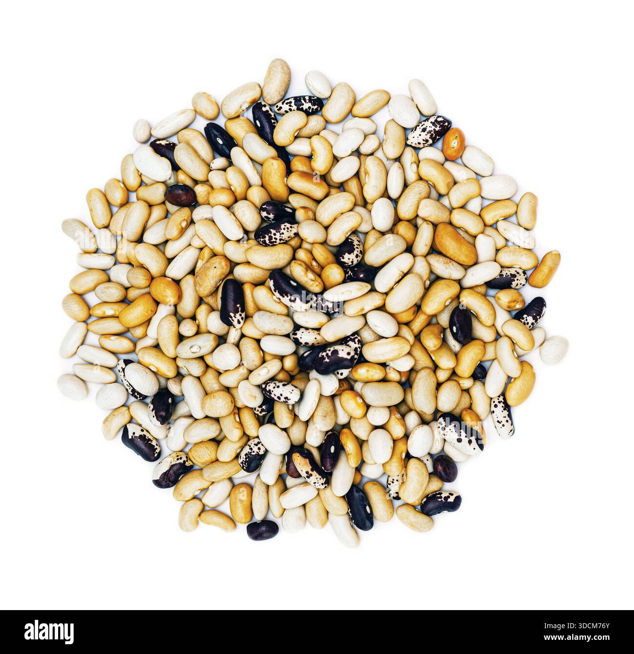 fagioli freschi e colorati, isolati su bianco Foto Stock