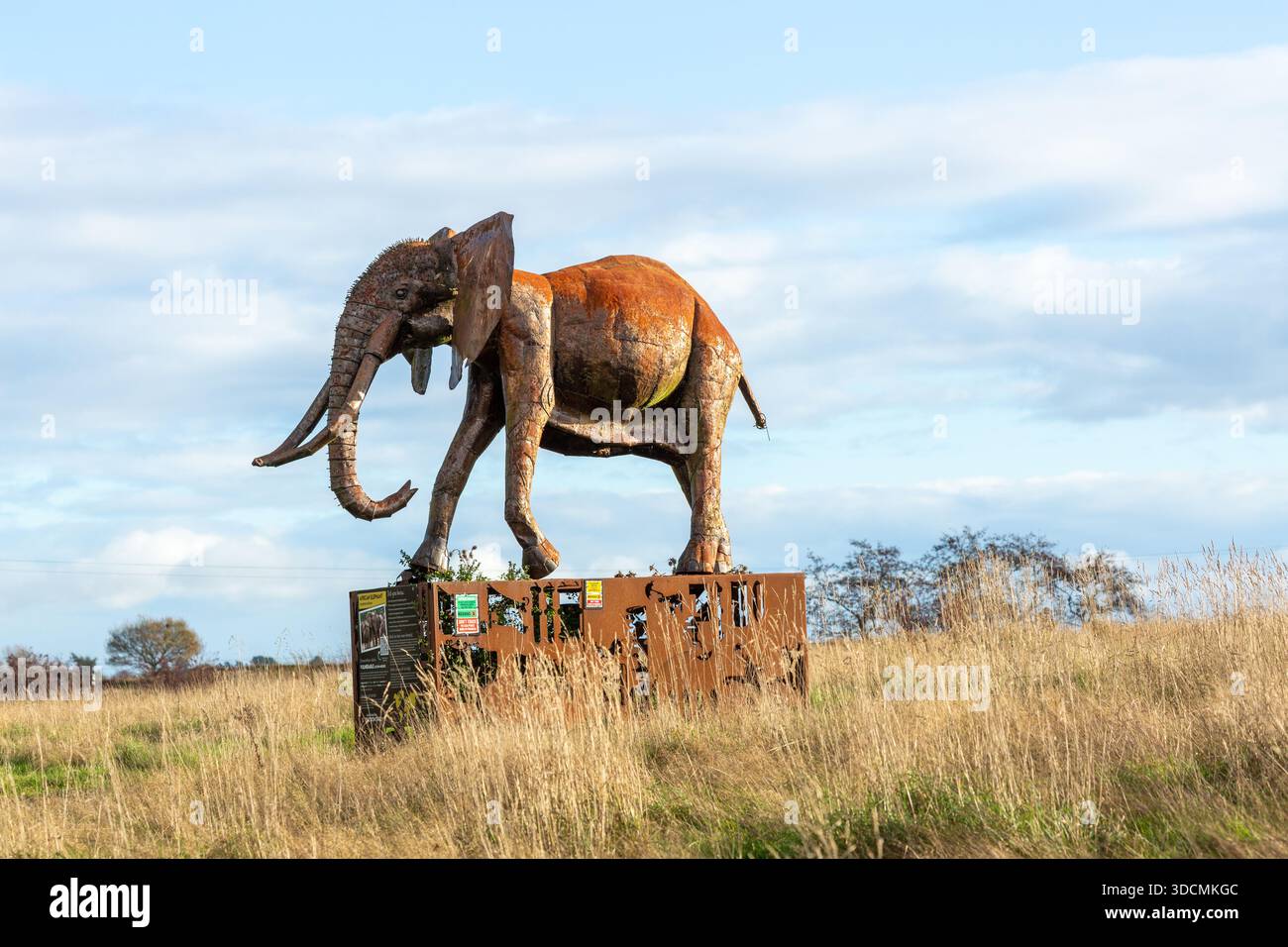 Scultura di elefante realizzata in metallo riciclato presso il British Iron work Centre, Oswestry, Shropshire, Inghilterra Foto Stock