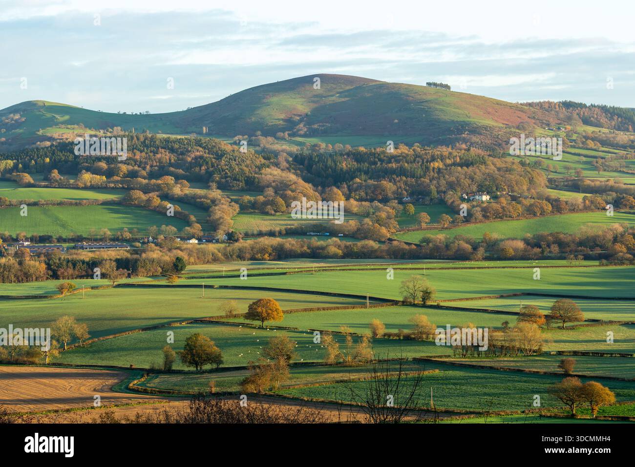 Heath Mynd Hill e i colori autunnali si estendono sulle fattorie dello Shropshire, Inghilterra Foto Stock