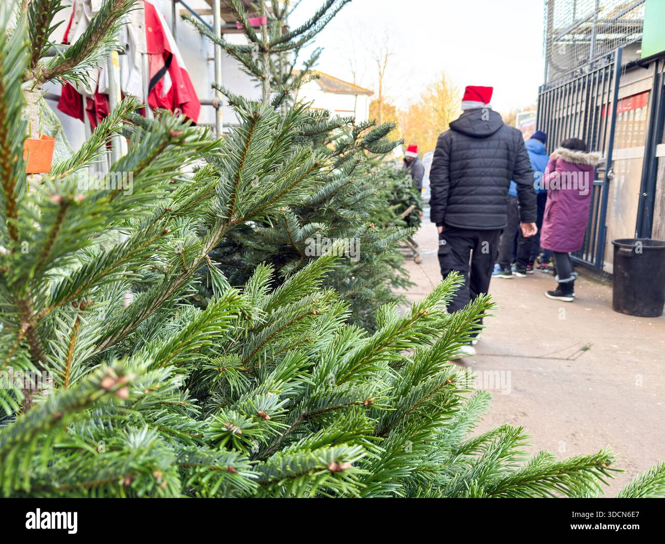 Londra, Inghilterra – due negozi per gli alberi di Natale al mercato all'aperto in strada, vendita al dettaglio durante le festività e vendita di alberi stagionali Foto Stock