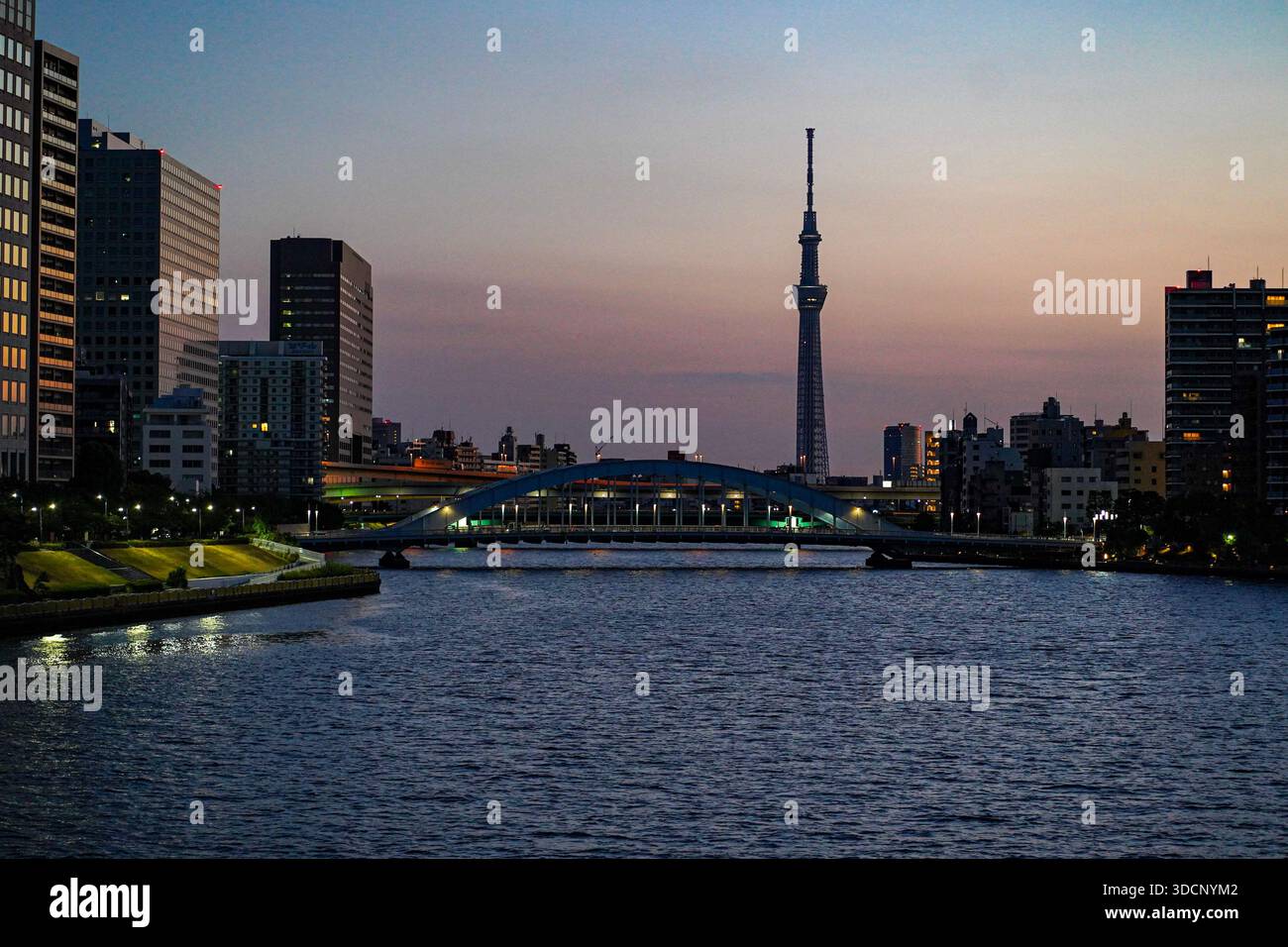 Tokyo, Giappone - 2 settembre 2025 - skyline di Tokyo all'alba con la torre Skytree, gli edifici e un ponte sul fiume Sumida. Foto Stock