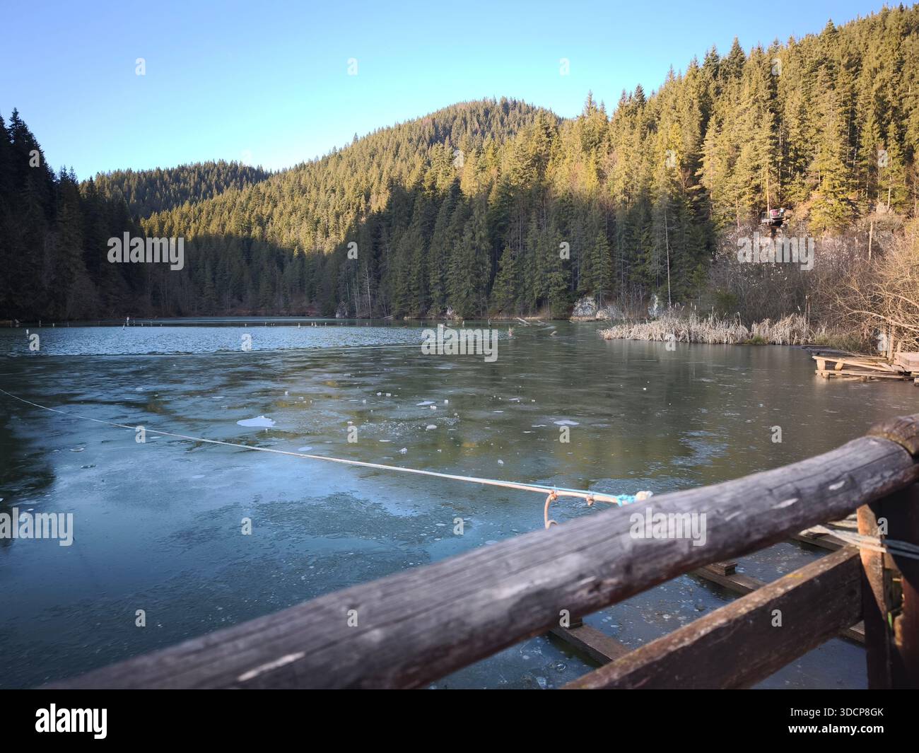 Lago Rosso Romania, lago di montagna ghiacciato circondato da una fitta foresta di pini sotto un cielo limpido, visto da un molo di legno in un tranquillo paesaggio invernale. Foto Stock