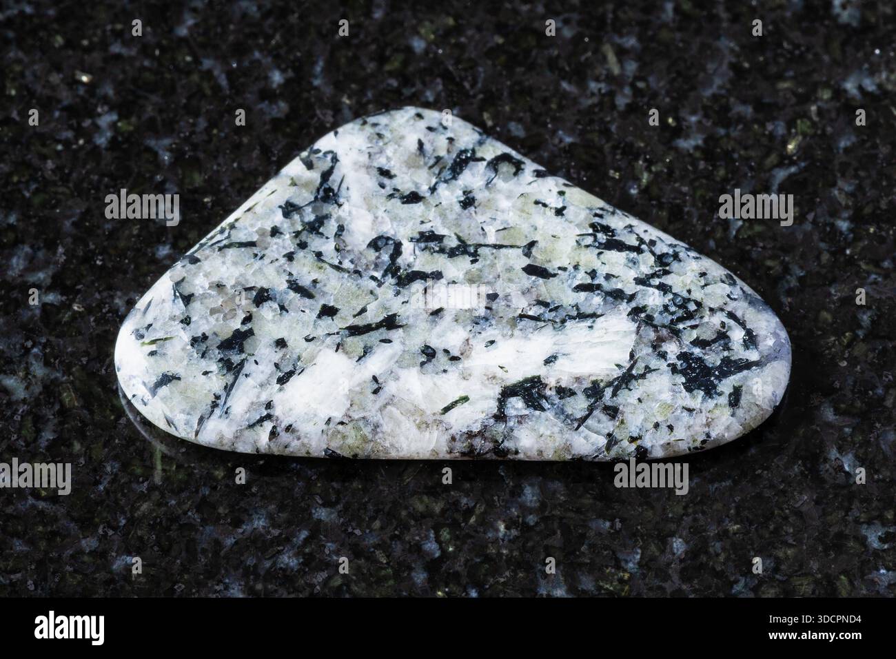 Assaggio di rocce di foyaite lucide su sfondo di granito nero da vicino dalla penisola di Kola, Russia Foto Stock