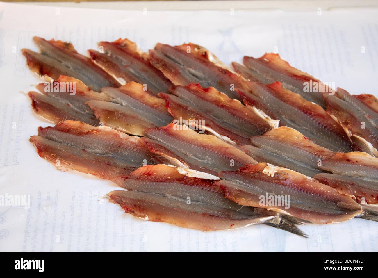 Filetti di acciughe grezze disposti in modo ordinato su una superficie bianca, preparati per la lavorazione o per uso culinario Foto Stock