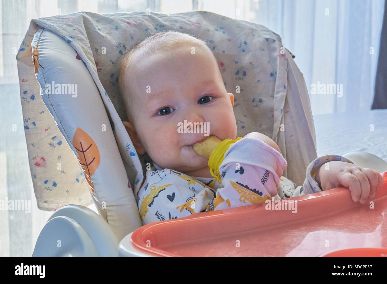 Primo piano di un adorabile bambino in seggiolone, con un abito stampato, guardando la macchina fotografica mentre si masturba felicemente un te giallo in silicone a forma di frutta Foto Stock