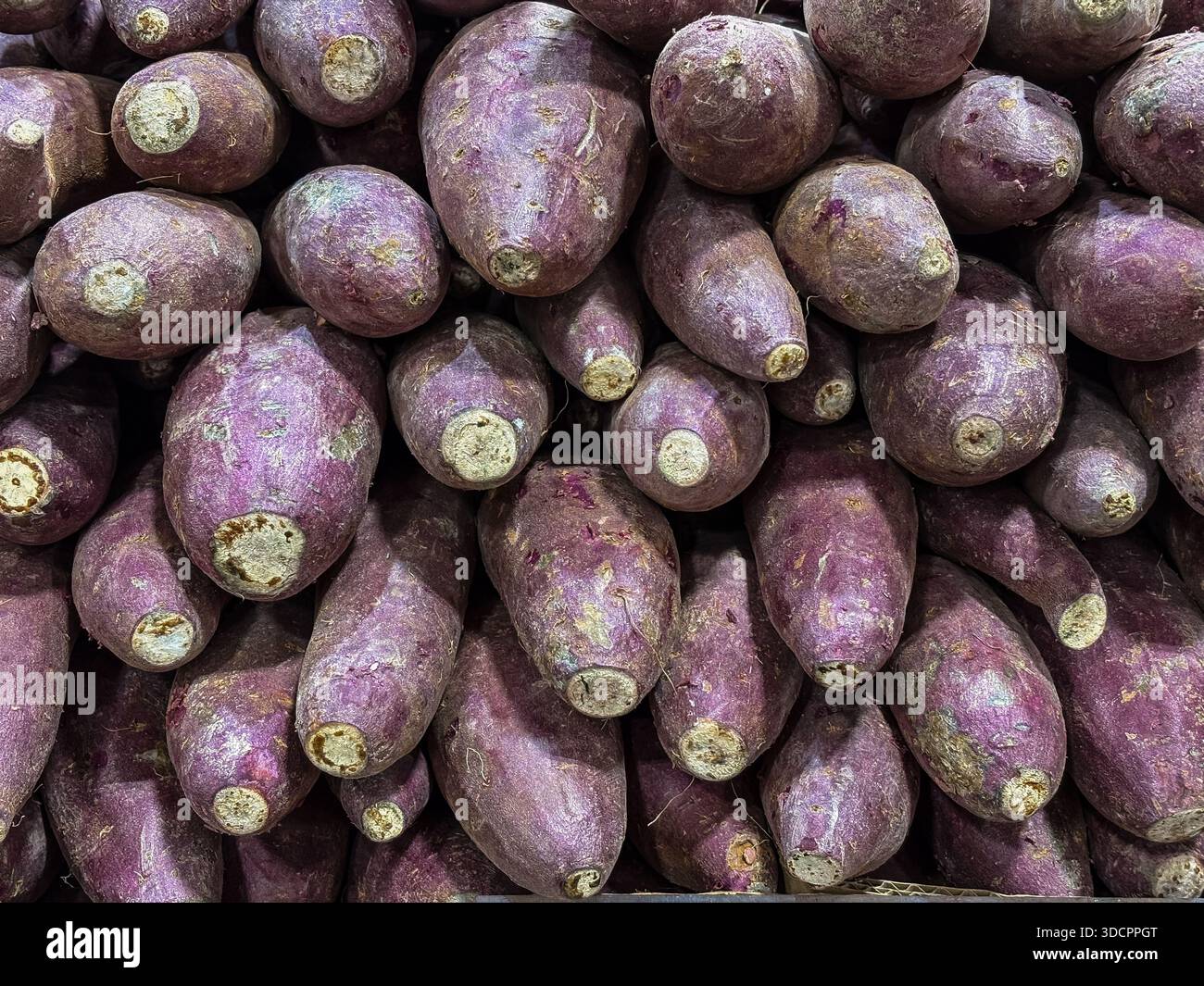I tiri di cuore viola sono esposti in una grande pila, che mostra la loro pelle viola unica e vibrante. Popolare per usi culinari e benefici nutrizionali. Foto Stock