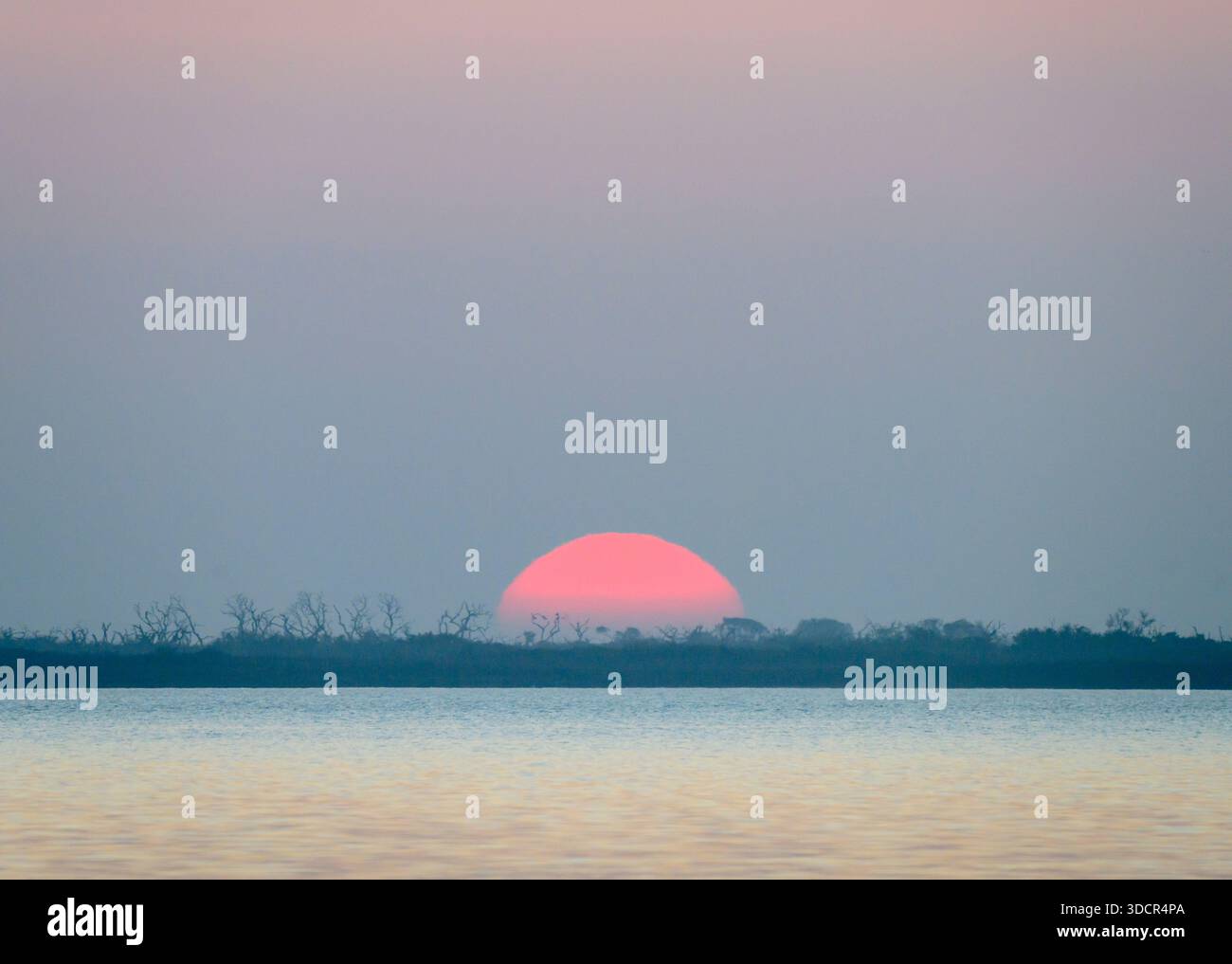 Il sole sorge sulle paludi della costa del golfo, il Goose Island State Park, la contea di Aranzas, Texas, Stati Uniti. Foto Stock