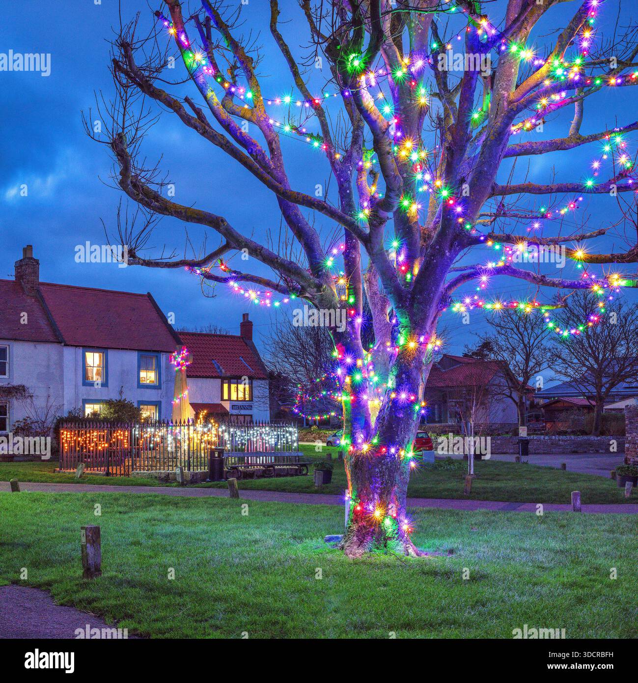 Una vista al crepuscolo di Natale dello spettacolo delle luci di Natale nella piazza del villaggio, memoriale di guerra sull'Isola Santa di Lindisfarne nel Northumberland Foto Stock