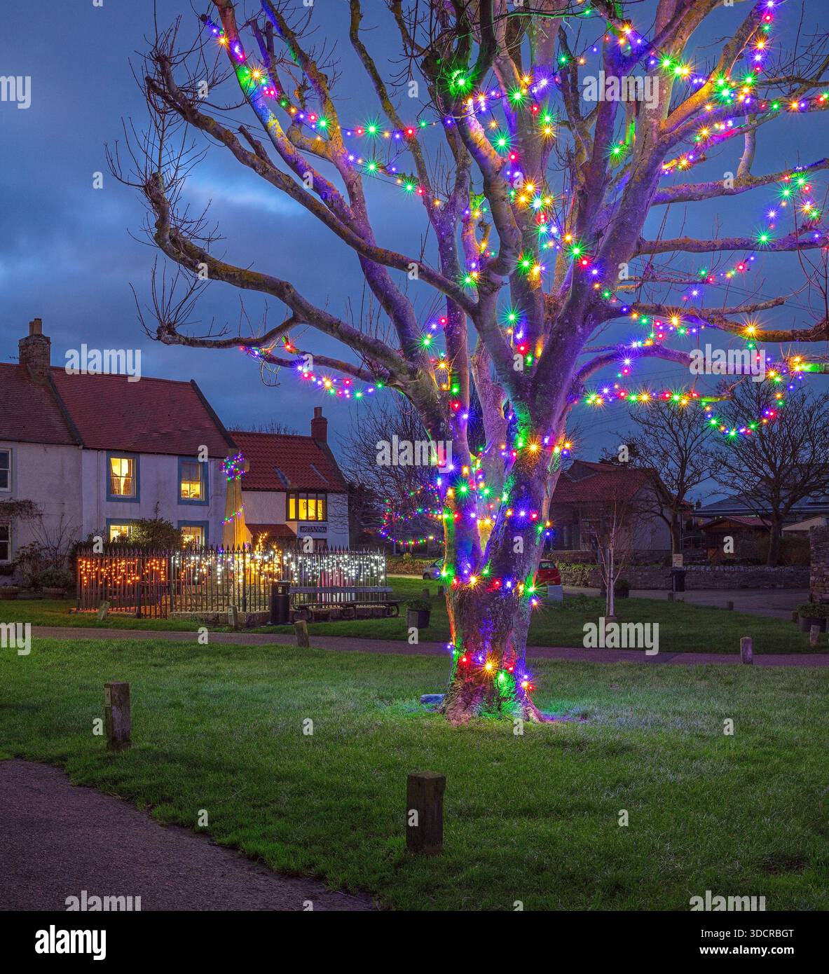 Una vista al crepuscolo di Natale dello spettacolo delle luci di Natale nella piazza del villaggio, memoriale di guerra sull'Isola Santa di Lindisfarne nel Northumberland Foto Stock