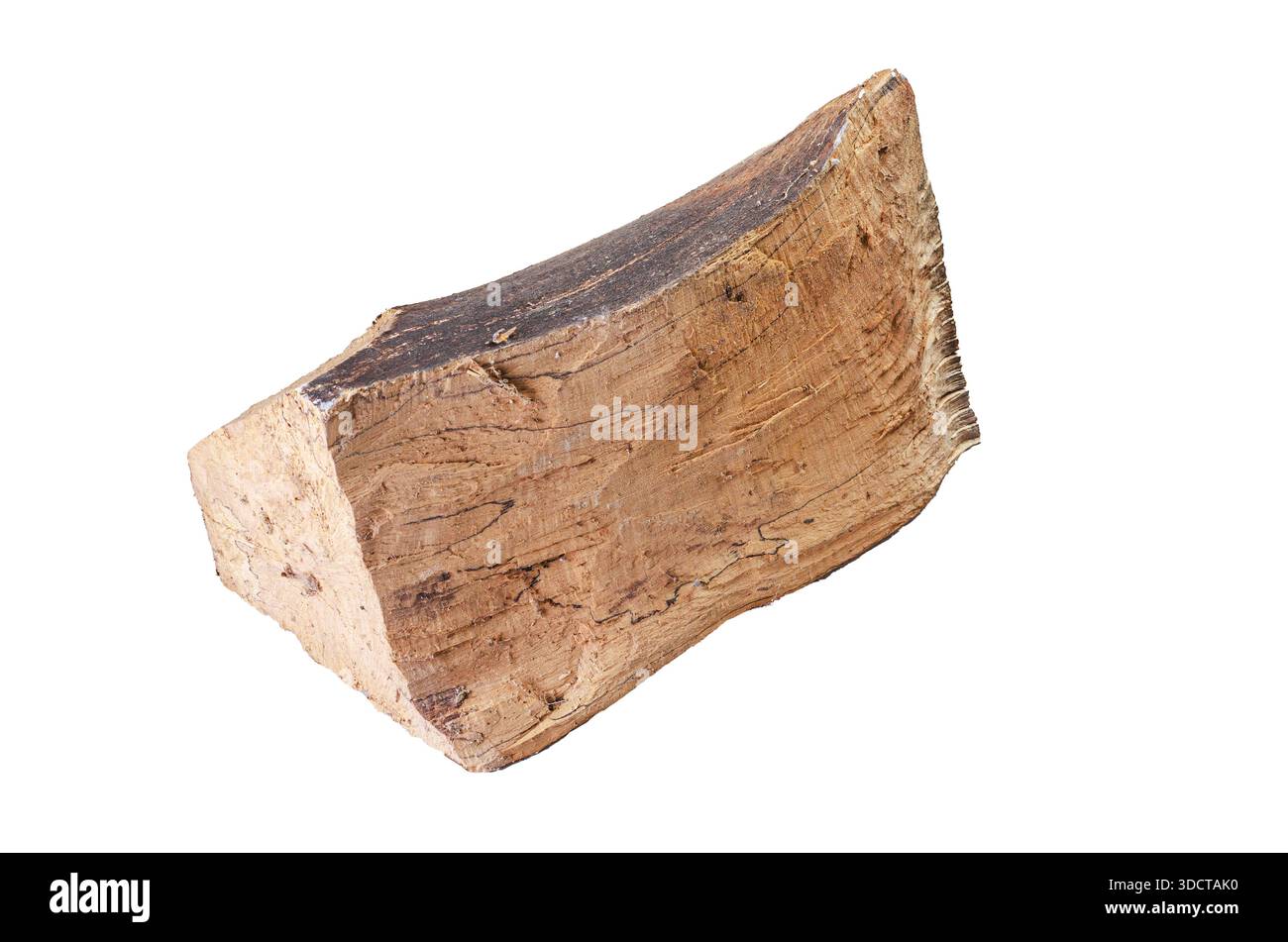 Pezzo unico di legna da ardere con consistenza ruvida e corteccia scura isolato su sfondo bianco Foto Stock