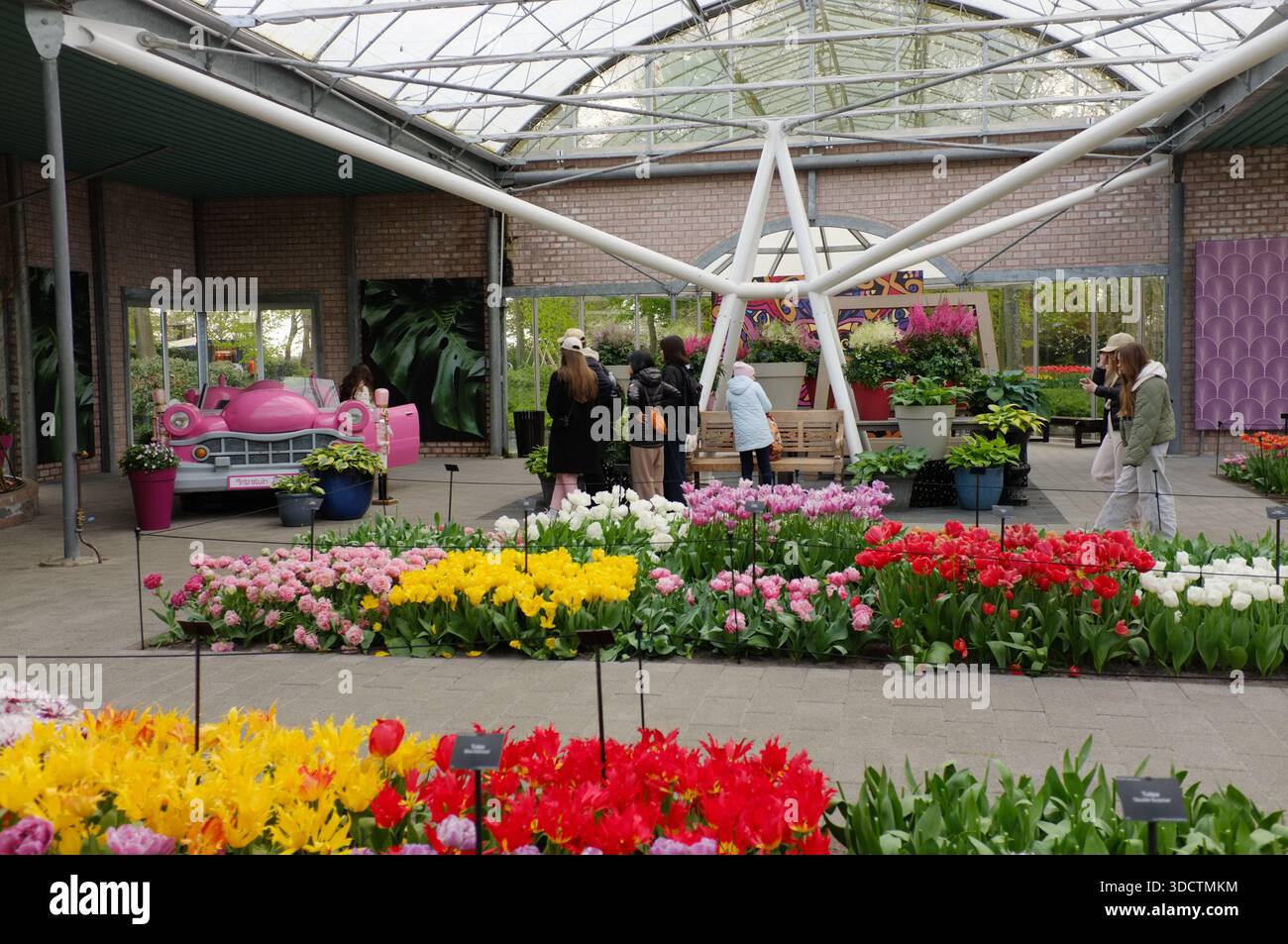 Keukenhof, Holland April, serra illuminata dal sole con tulipani vibranti, Shoppers seduti sul banco, Venditore che organizza Bouquets, file Foto Stock