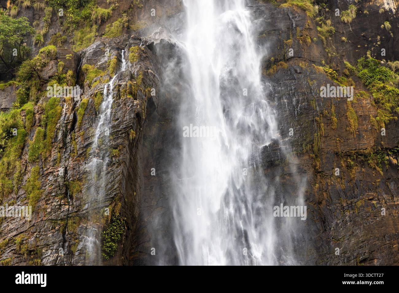 La cascata di Diyaluma che scorre lungo una ripida parete rocciosa, Sri Lanka Foto Stock