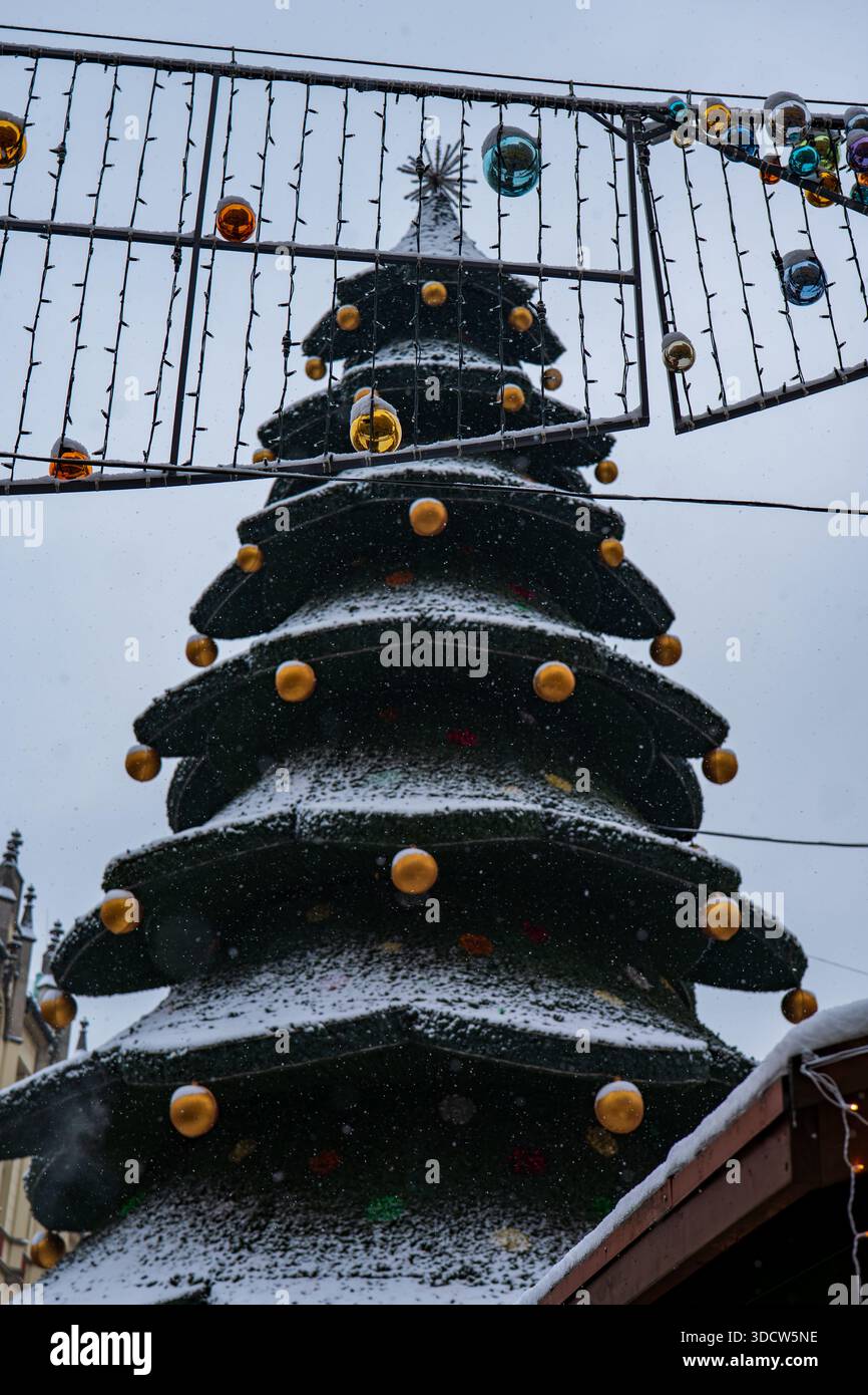 Un albero di Natale spolverato di neve sorge nella città vecchia di Breslavia, baule dorate e stelle brillano mentre le corde di luci festive incorniciano le facciate storiche e l'inverno Foto Stock