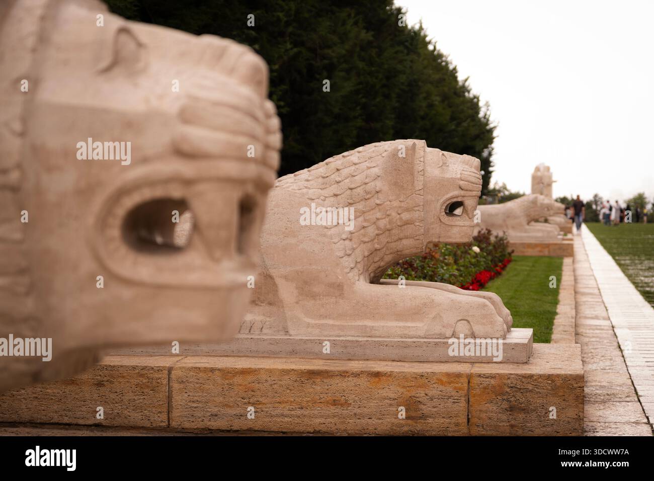 Sculture di leoni di pietra che fiancheggiano la strada cerimoniale dei leoni ad anitkabir, che rappresentano la forza e creano un percorso per il memoriale nazionale della turchia e il AT Foto Stock