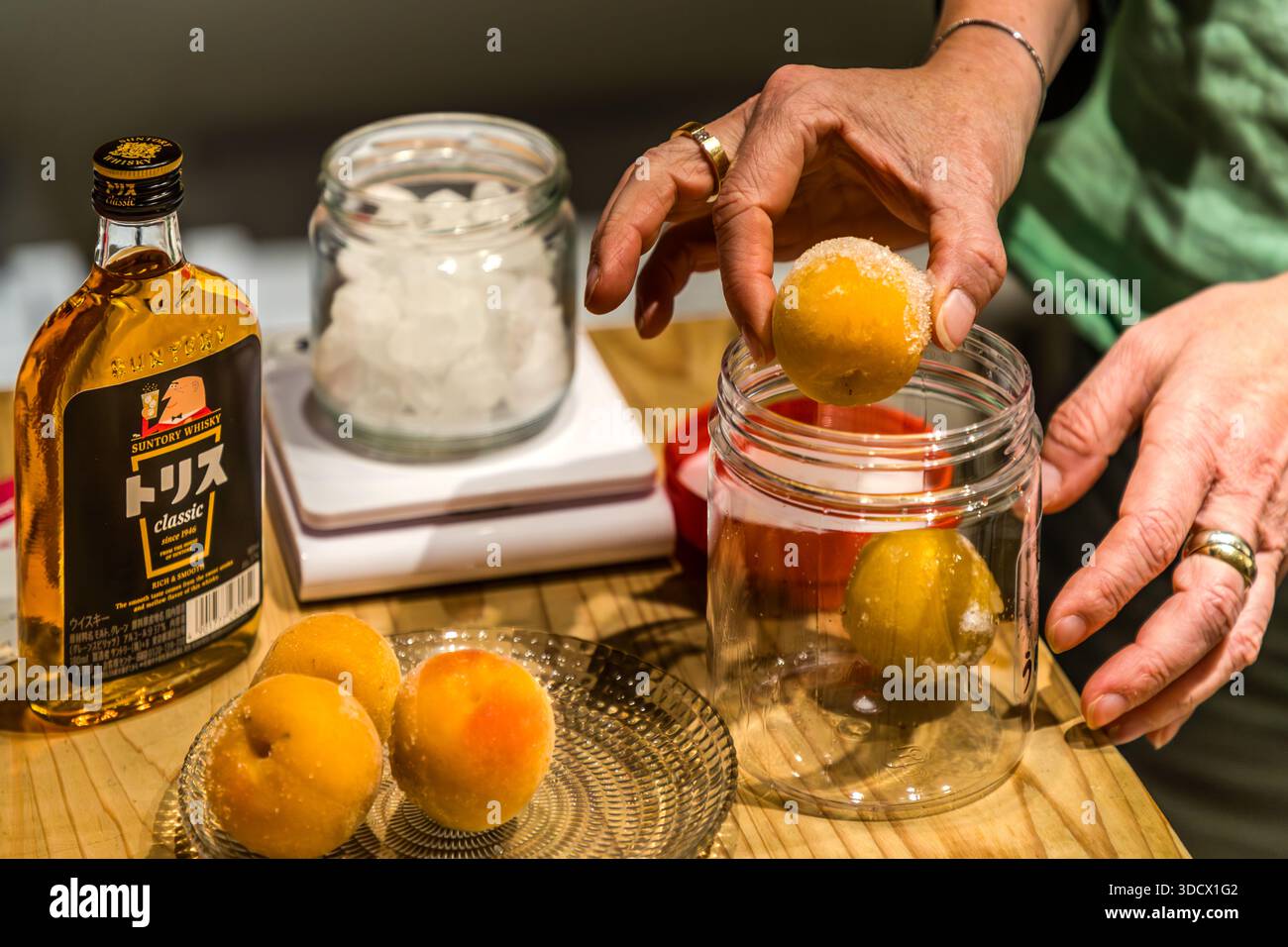Prugne mature immerse in un barattolo di vetro con zucchero di canna e whisky, gli ingredienti di base per l’umeshu fatto in casa in una bottega a Tanabe. I partecipanti preparano lì il loro liquore alla prugna ; ci vogliono almeno dieci settimane per la maturazione prima della festa del Capodanno giapponese, Oshōgatsu. Prefettura di Wakayama, Giappone. Foto Stock