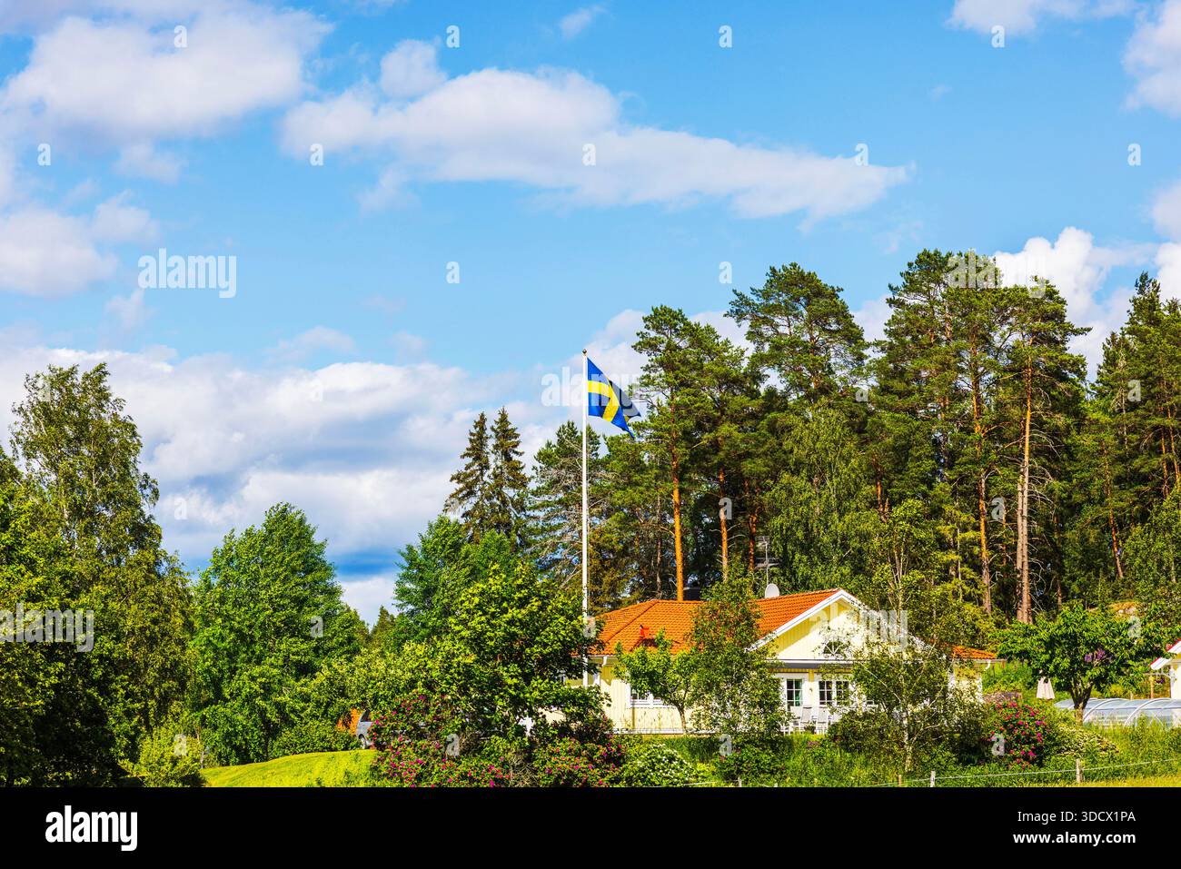 Splendida vista della casa di campagna svedese con bandiera nazionale sullo sfondo di foresta verde e cielo blu. Svezia. Foto Stock