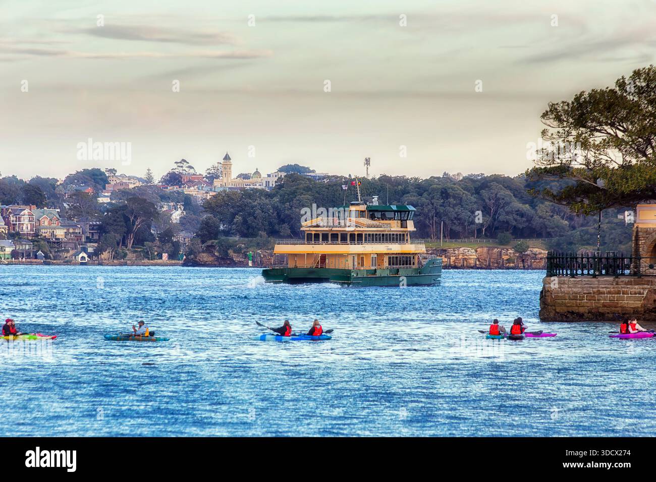 Mattina nel porto di Sydney, dove si esercitano hobby di persone attive che fanno kayak sull'acqua in Australia. Foto Stock