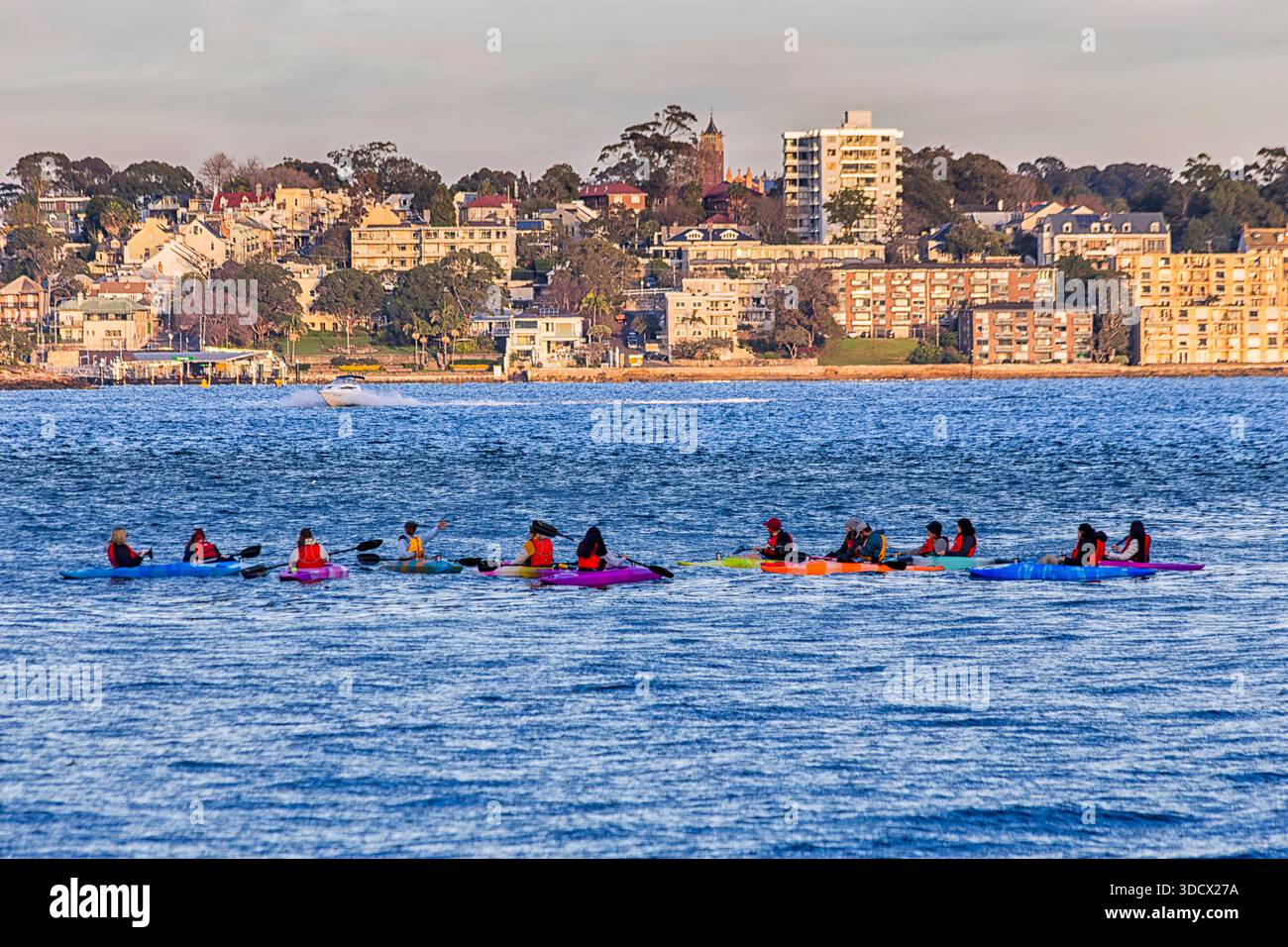 Gruppo di persone attive che galleggiano in kayak sulle acque del porto di Sydney in Australia Foto Stock