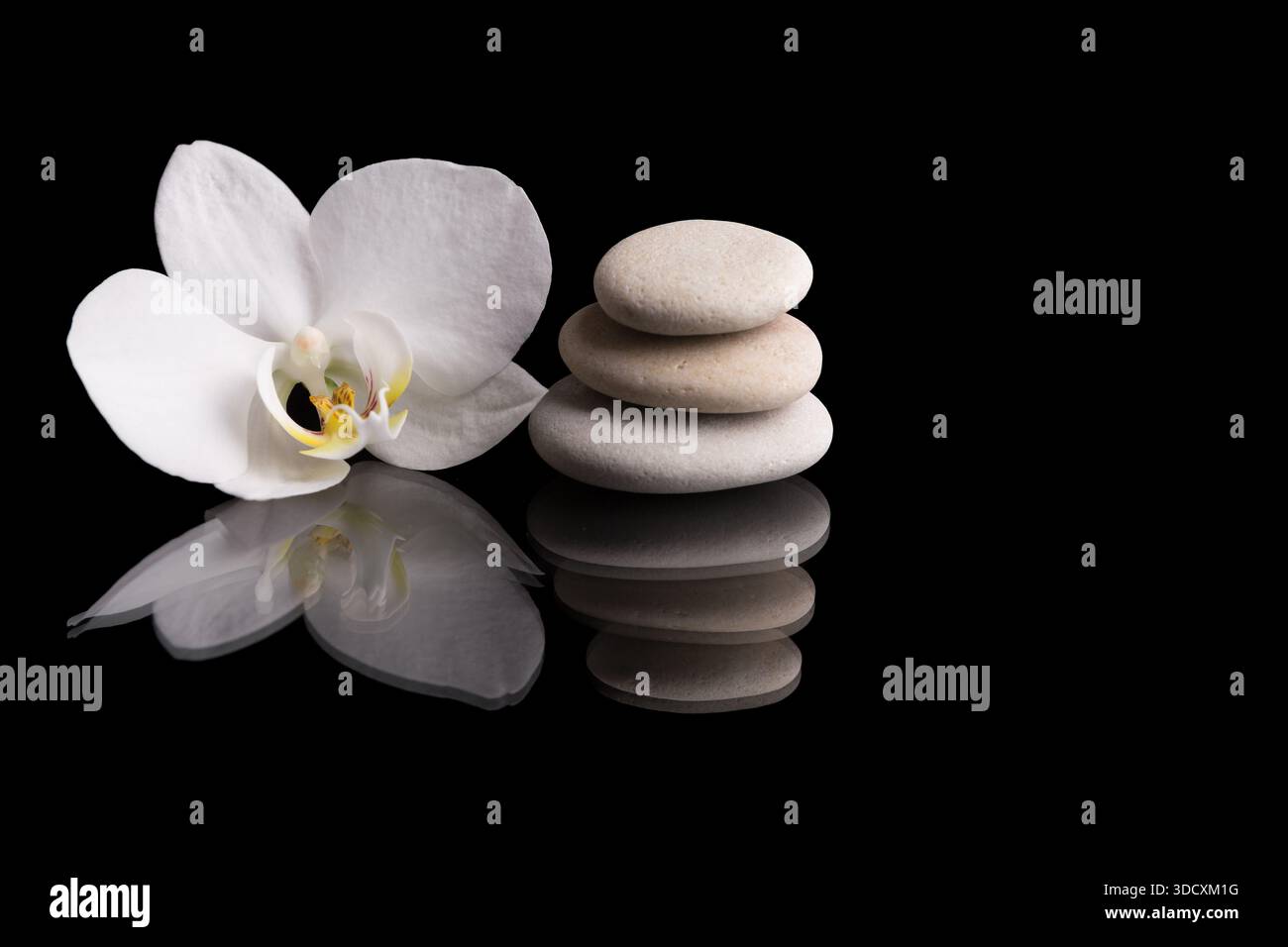 Una composizione serena caratterizzata da una fioritura di orchidee bianca abbinata a una pila bilanciata di pietre zen, il tutto su sfondo nero riflettente fino a Highlig Foto Stock