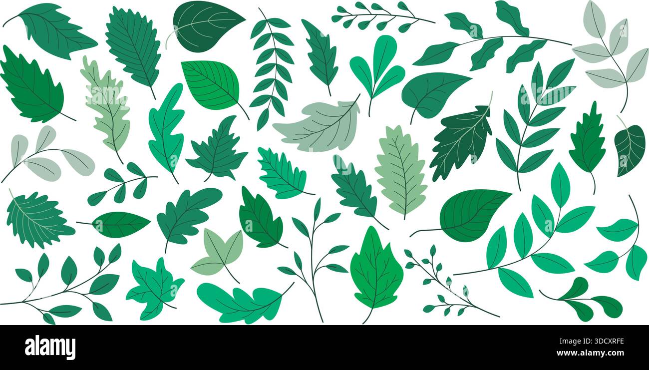 Collezione di foglie primaverili ed estive in ricche tonalità di verde. Foglie di varie dimensioni e forme, così come vari rami di alberi. Set botanico Illustrazione Vettoriale
