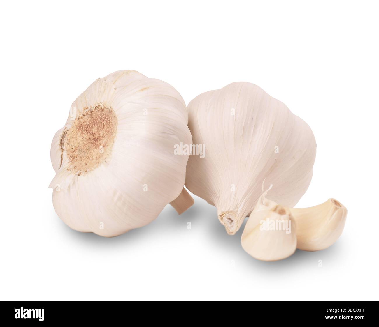 Due bulbi d'aglio freschi interi e chiodi di garofano isolati su fondo bianco, ingrediente vegetale biologico. Foto di alta qualità Foto Stock