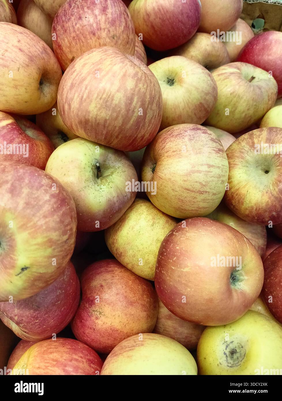 Primo piano di mele rosse mature e biologiche in vendita in un mercato. Vista ad alto angolo della frutta fresca sana. Foto Stock