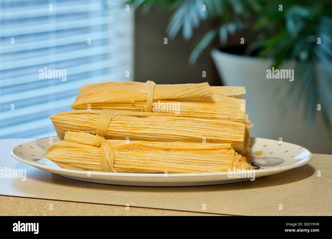 Tamales freschi su piatto cibo messicano cucina ispanica ripiano domestico. Foto Stock