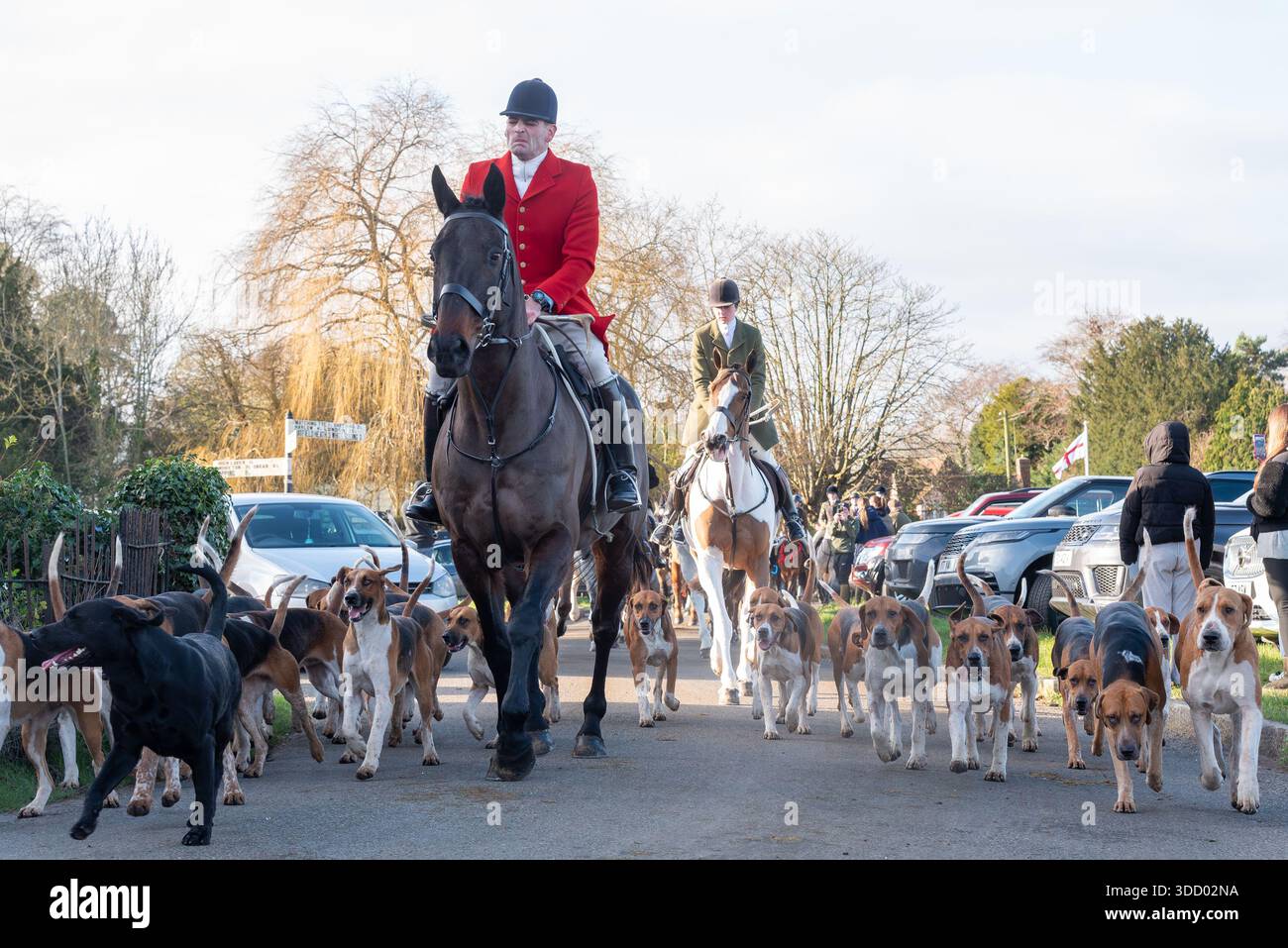 La parata di caccia Puckeridge e Essex Union Hunt il giorno di Santo Stefano nel villaggio rurale di Matching Green. Cacciatore e cacciatori di volatili che vanno nel villaggio Foto Stock