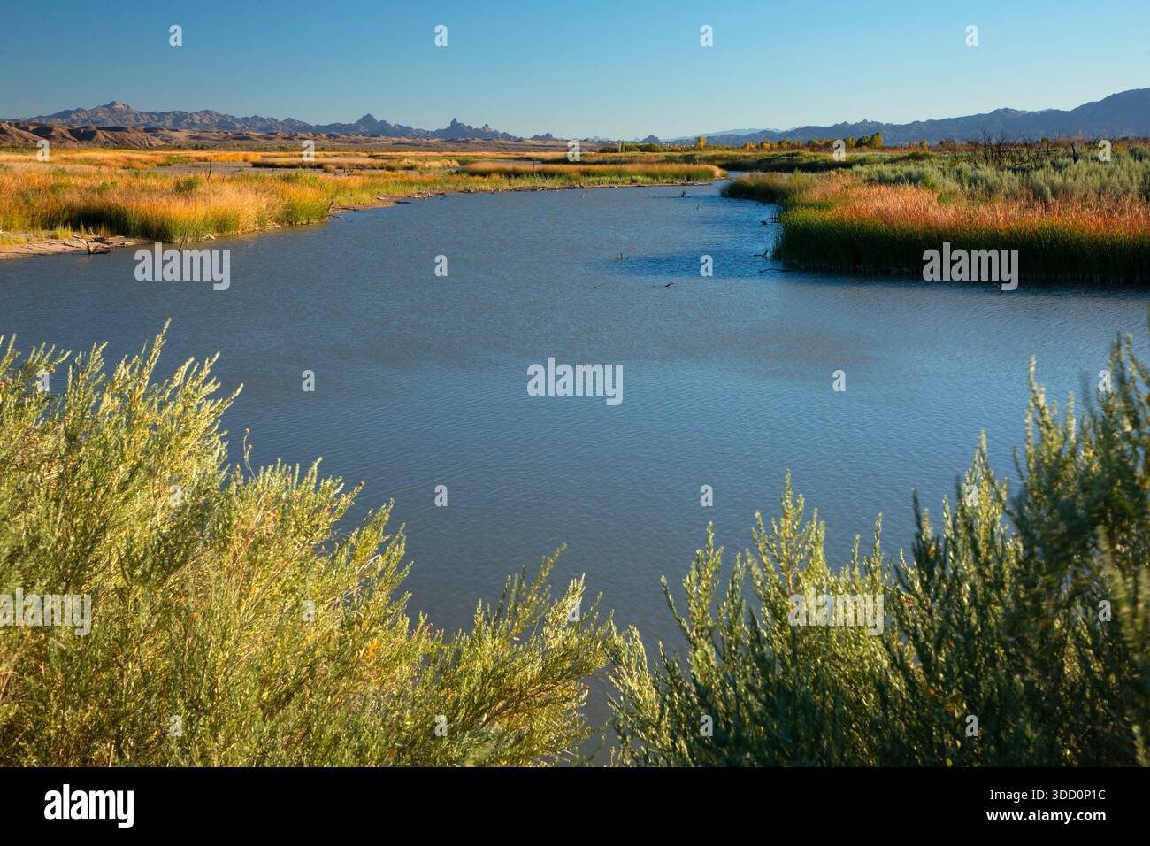 Powell Lake, Havasu National Wildlife Refuge, Arizona Foto Stock