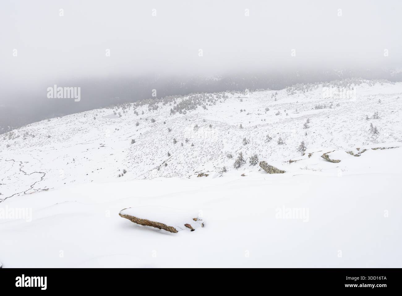 Le montagne della Sierra de Guadarrama a Madrid durante la nevicata del dicembre 2025, al passo di montagna di Cotos Foto Stock