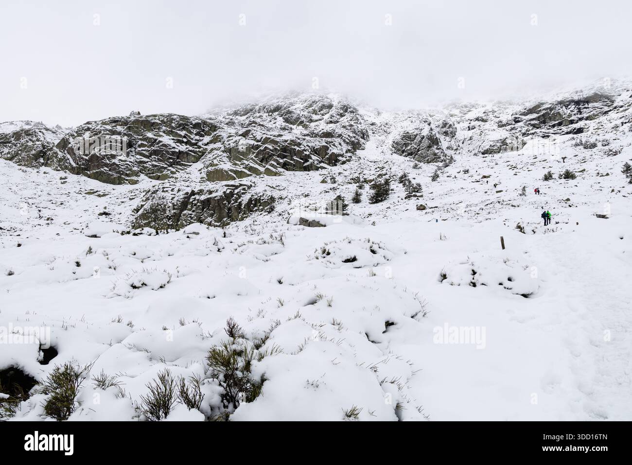 Le montagne della Sierra de Guadarrama a Madrid durante la nevicata del dicembre 2025, al passo di montagna di Cotos Foto Stock