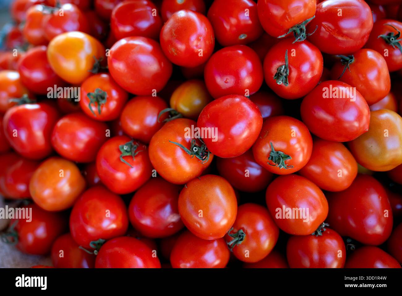 Primo piano di pomodori sul mercato Foto Stock