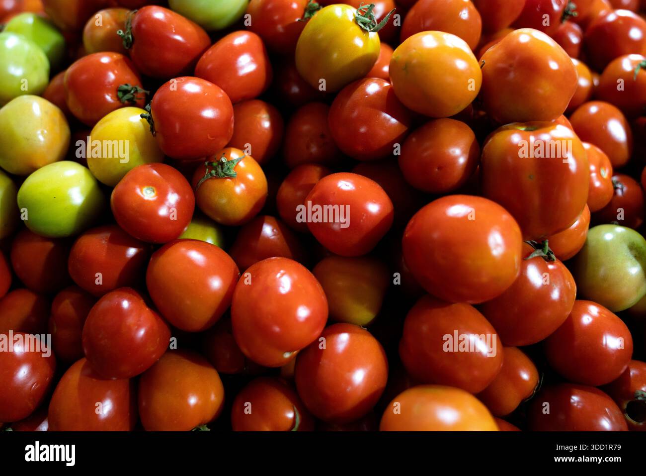Primo piano di pomodori sul mercato Foto Stock