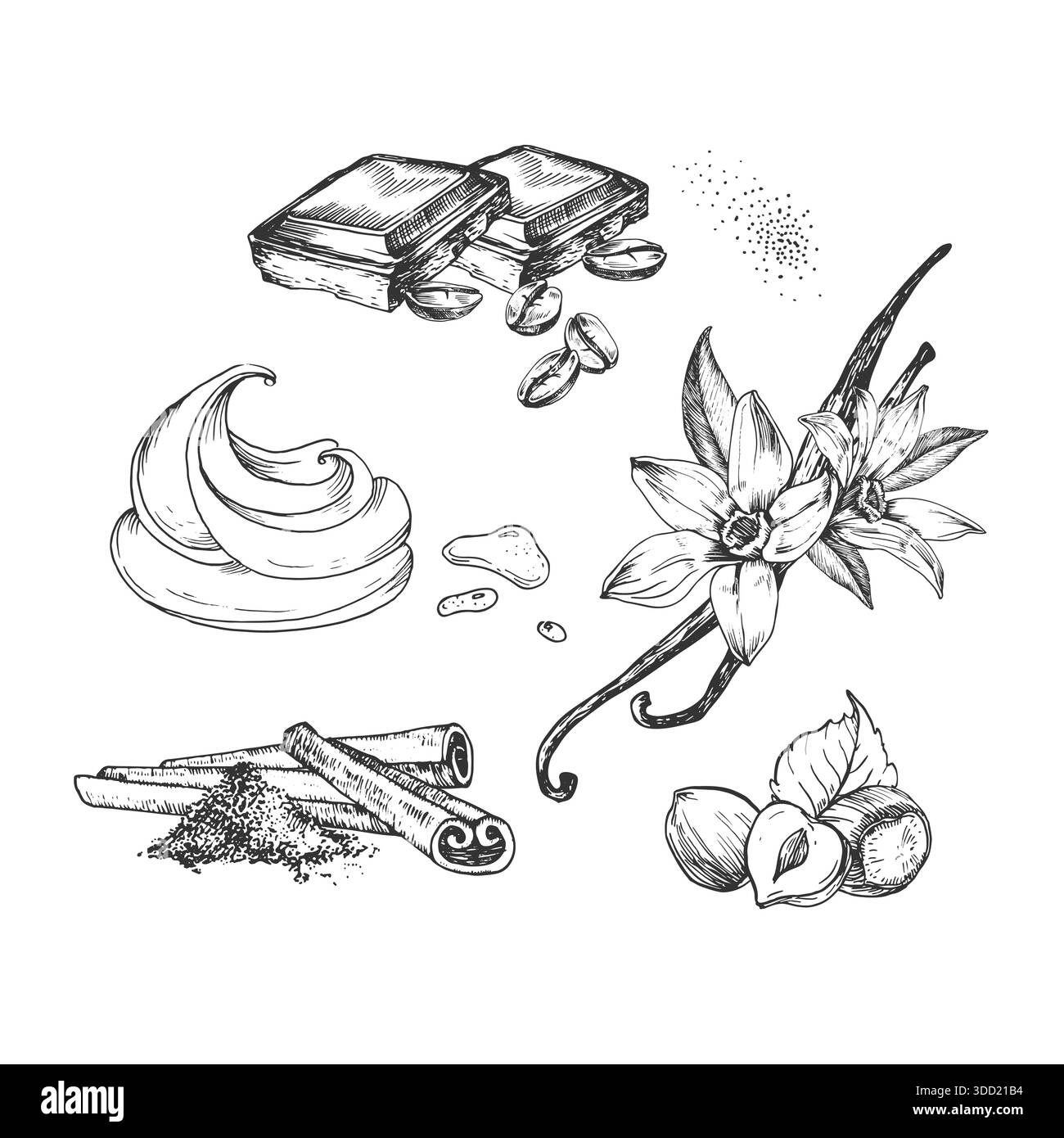 Illustrazioni vettoriali di fagioli di caffè, vaniglia, cannella, nocciole e cioccolato Illustrazione Vettoriale