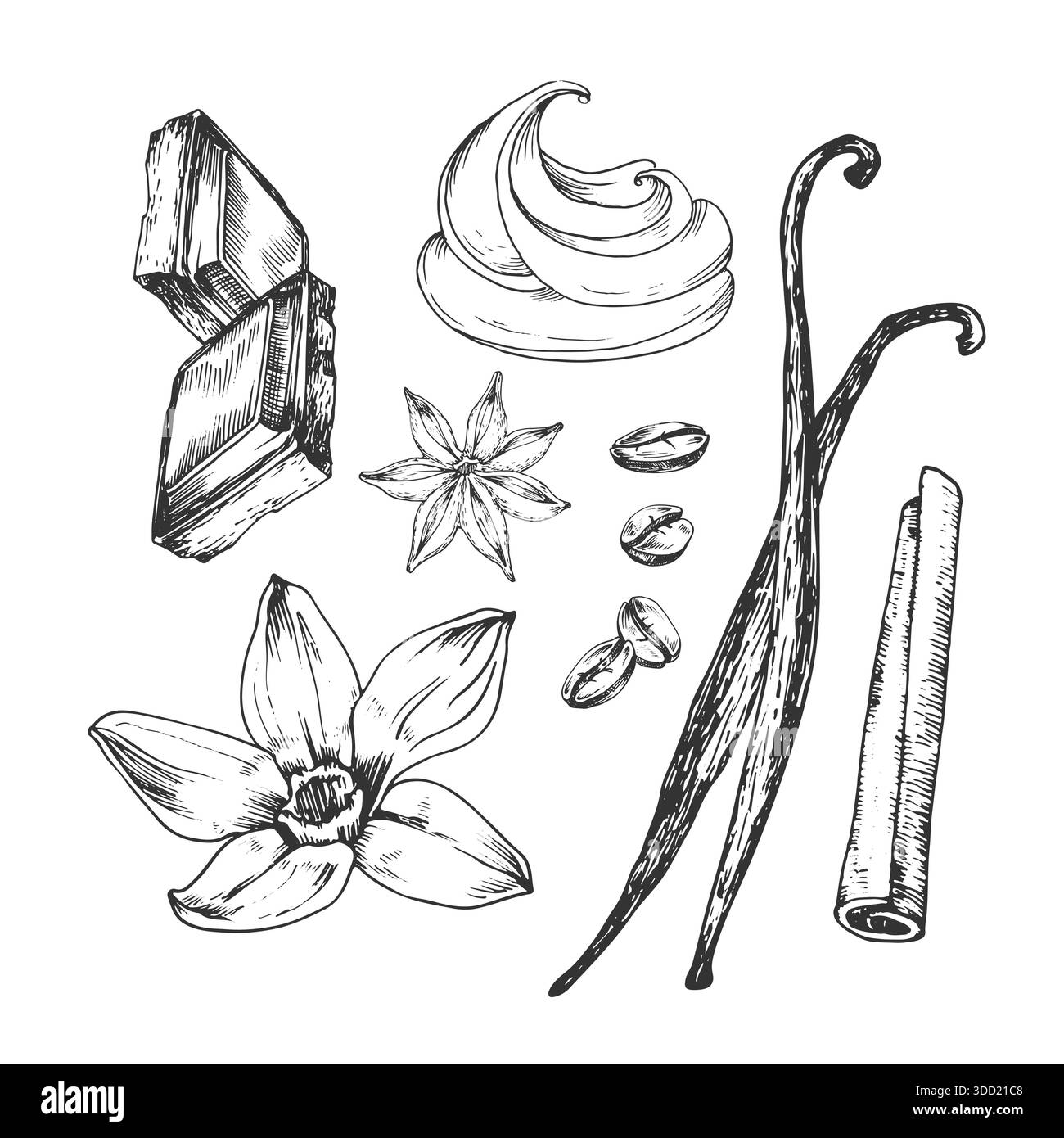 Illustrazioni vettoriali di chicchi di caffè, vaniglia, cannella e fette di cioccolato Illustrazione Vettoriale
