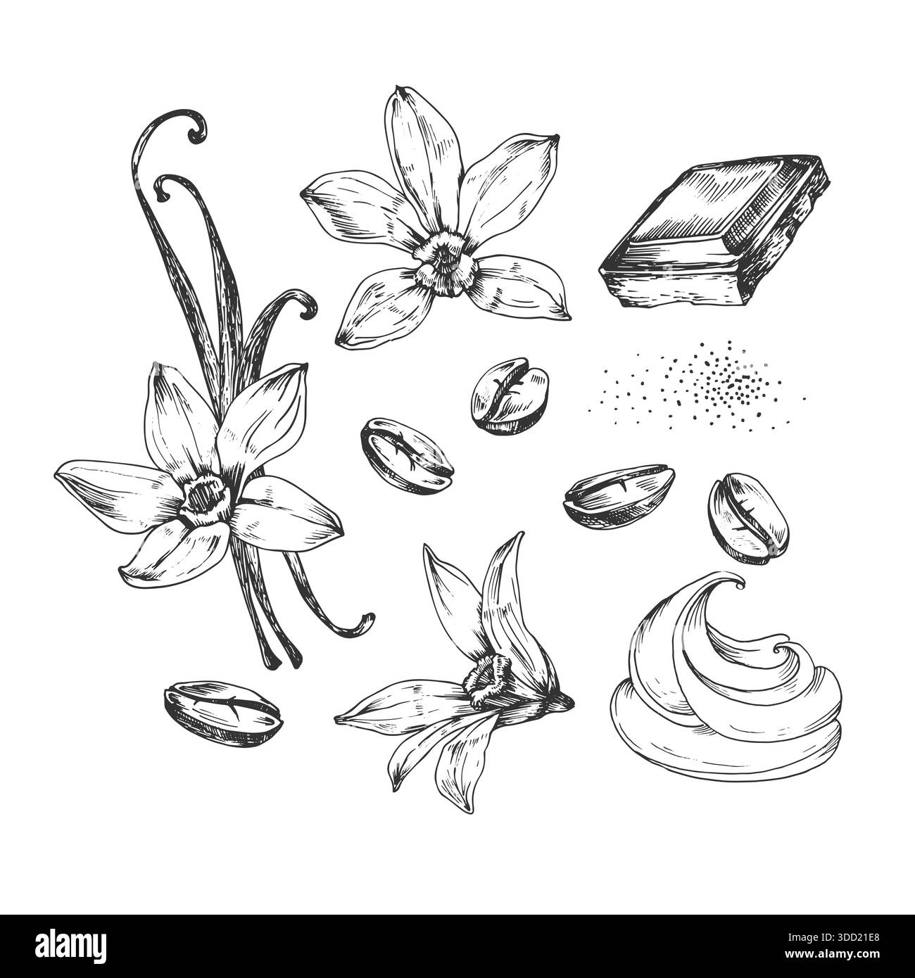 Illustrazioni vettoriali di fette di caffè, vaniglia e cioccolato, disegnate a mano con inchiostro. Illustrazione Vettoriale