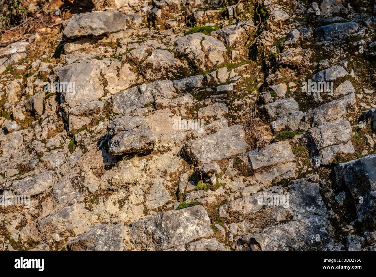 Il calcare è una roccia sedimentaria la cui componente principale è la calcite minerale. I depositi calcarei sono più o meno interpenetrati da argilla o quarzite Foto Stock
