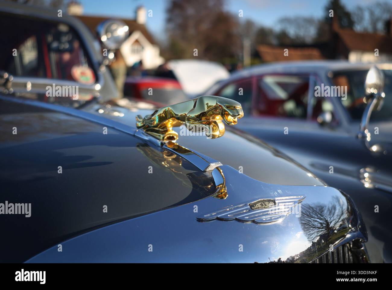 Cofano/cofano Jaguar anni '1960 e stemma con logo color oro. Sarratt Boxing Day Classic Car Show on the green, Sarratt, Hertfordshire, Inghilterra Regno Unito Foto Stock