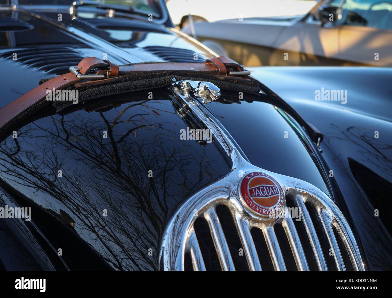 Auto sportiva nera Jaguar XK 140 degli anni '1950. Sarratt Boxing Day Classic Car Show on the green, Sarratt, Hertfordshire, Inghilterra Regno Unito Foto Stock