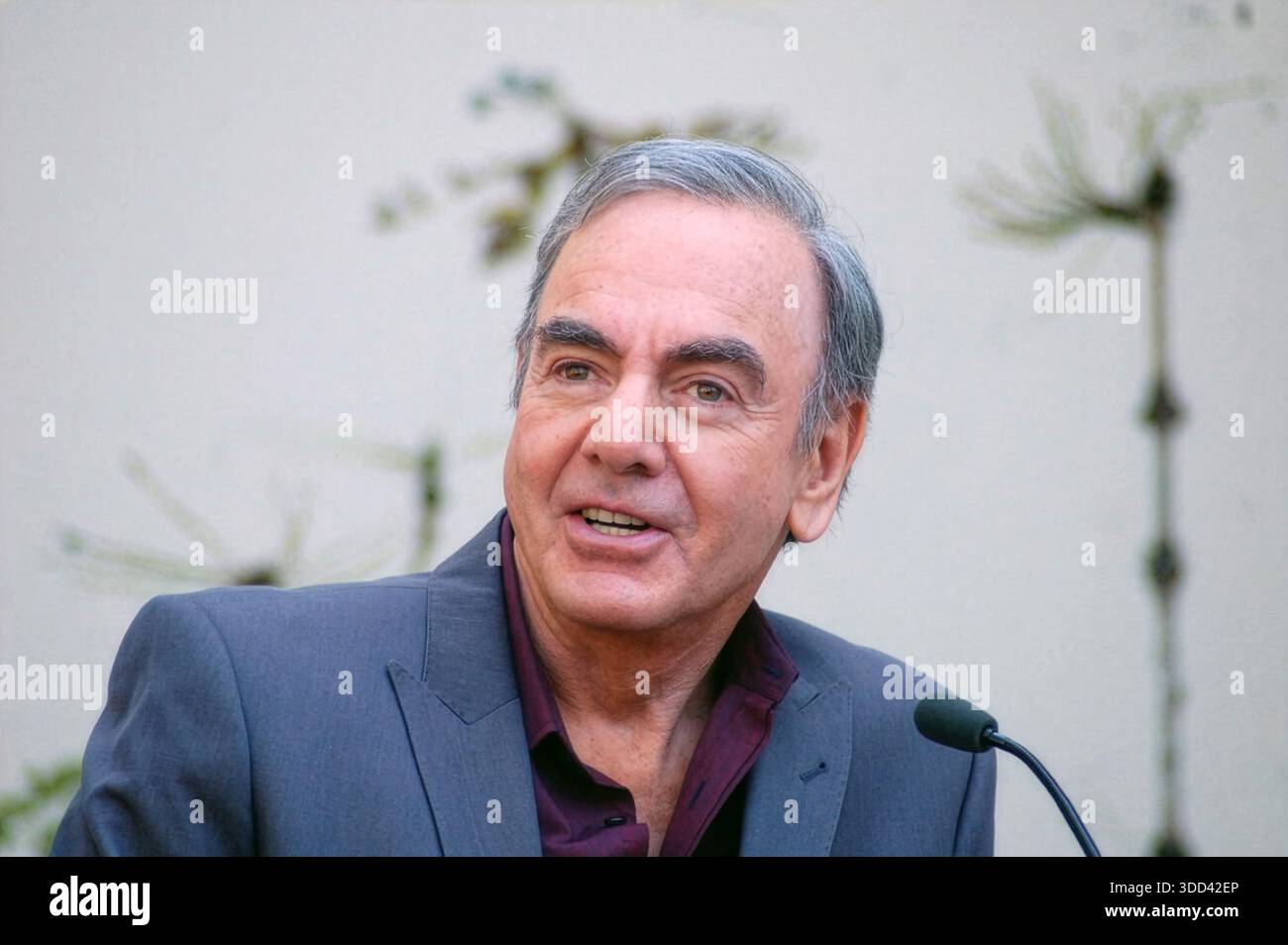 Neil Diamond parla durante la sua cerimonia di dedica alla Hollywood Walk of Fame a Hollywood, Los Angeles, California, il 10 agosto 2012. Foto Stock