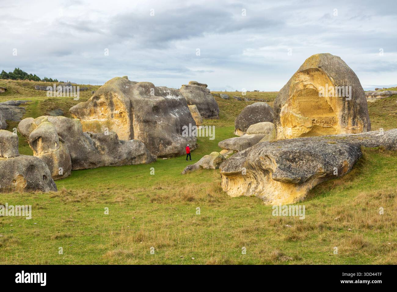 Elephant Rocks nell'Isola del Sud della nuova Zelanda. Questi giganteschi e antichi massi calcarei sono un'attrazione turistica Foto Stock