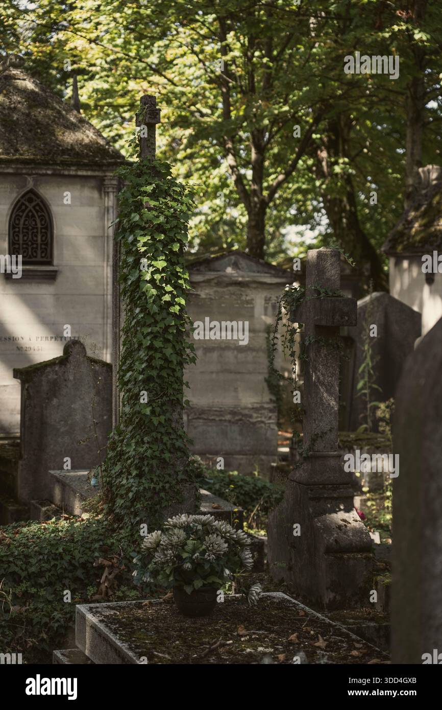 Grandi lapidi e mausolei all'interno di un grande cimitero. Grandi tombe con stili diversi. Monumenti rupestri all'interno di un parco. Silenzio e rispetto. Foto Stock