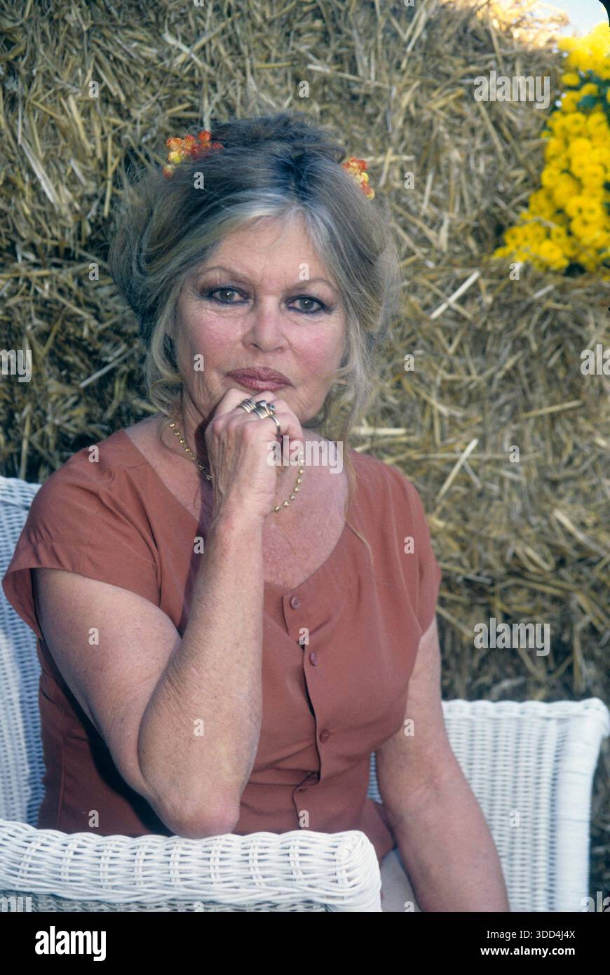 EXCLUSIF BRIGITTE BARDOT RDV PHOTOS AU REFUGE DE LA MARE AUZOU FOTO DI APS-MEDIAS/ABACAPRESS.COM Foto Stock